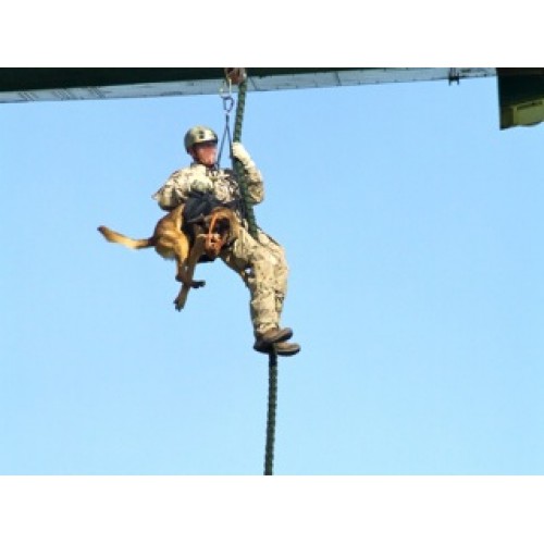 SEALs_Fast Rope_3